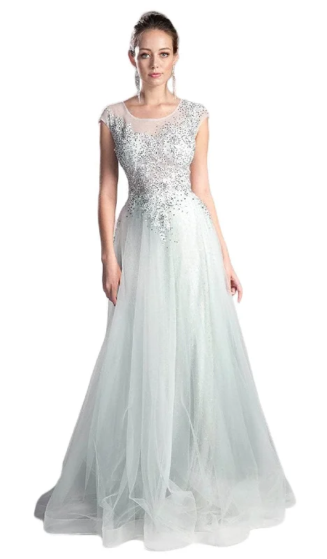 Today Only Ladivine 8992 - Sheer Scoop Beaded Tulle Evening Gown
