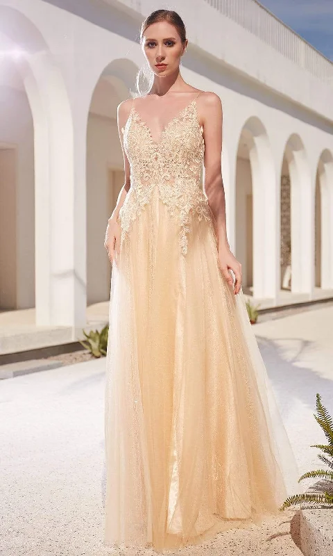 Warehouse Sale J'Adore Dresses - JM104 Lace Applique Bodice Glitter Tulle A-Line Gown